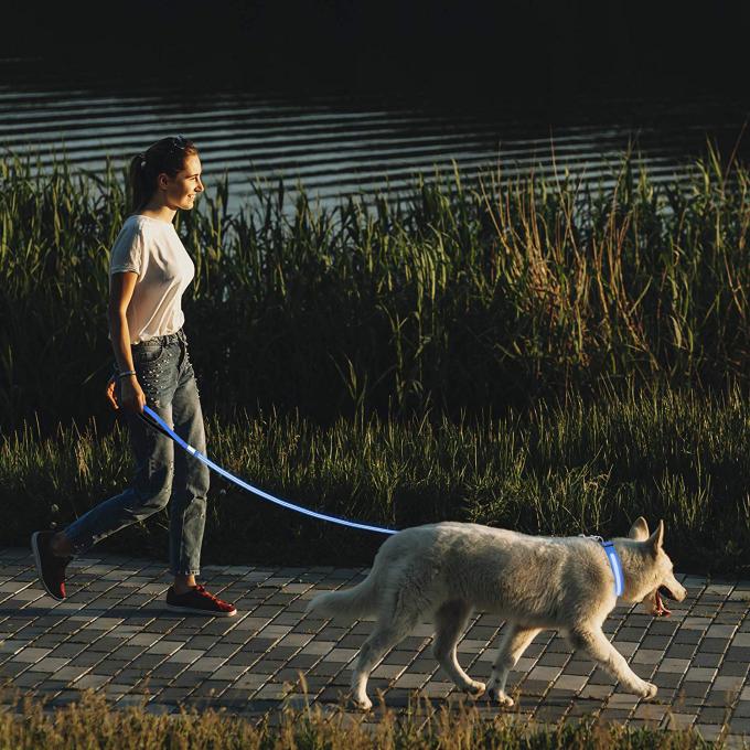 3 Different Settings LED Dog Leash Lights Up For Night Visibility