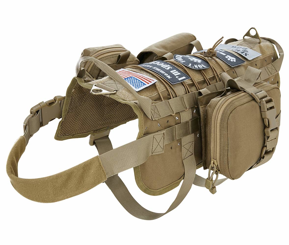 Adjustable Hedgehog Training Harness With Leash, Nylon Rope With Cute Radish, Outdoor Play Toy