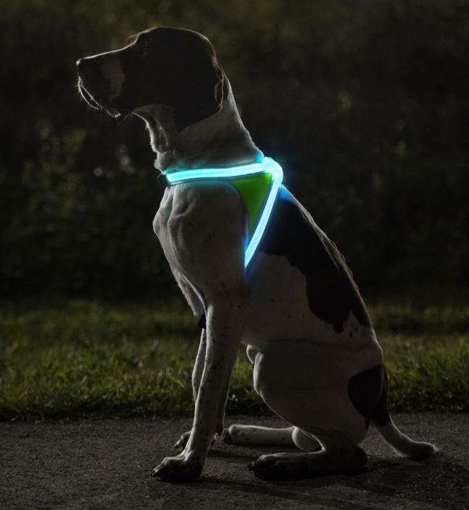 Nylon Flashing LED Dog Harness , Lighted Dog Harness With Rainproof Function 1