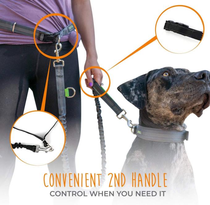 Lightweight Reflective Dog Leashes 100 Nylon Eco Friendly Bungee Dog Leash