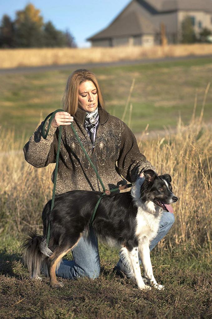 100 Nylon Dog Harness Leash , Thick Rope Dog Leads For Strongest Pulling