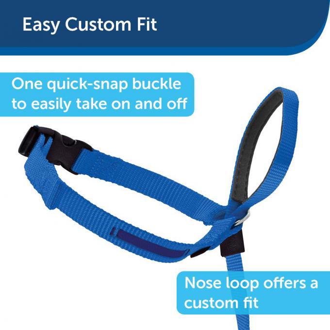Nylon Dog Head Collar Halter For Dog Better Leash Manners Customized Logo