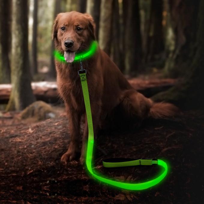 USB Rechargeable LED Dog Leash 47.2 Inch 120cm Reflective Night OEM ODM