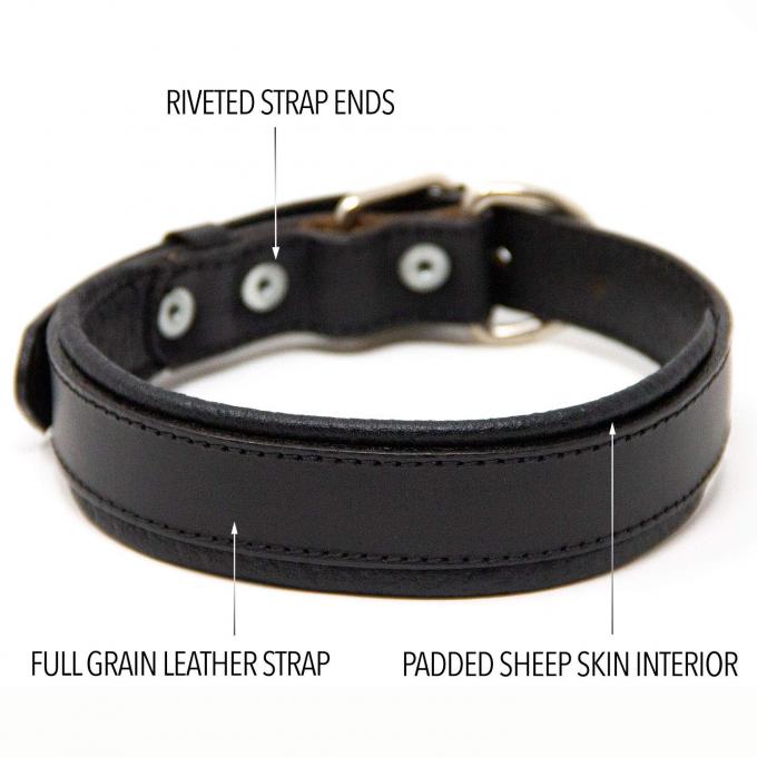 Military Grade Padded Leather Dog Collar , Heavy Duty Leather Dog Collars