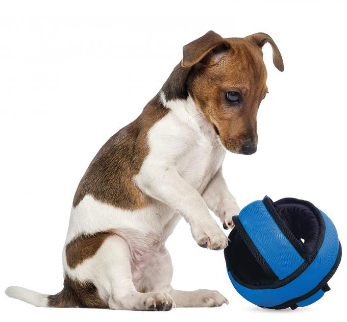 Heavy Duty Stuffed Dog Tough Chew Toys , Pet Chew Toys Tear Resistant