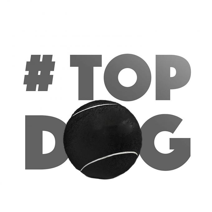 Eco Friendly Puppy Dog Tough Chew Toys , Durable Pet Tennis Balls For Dogs