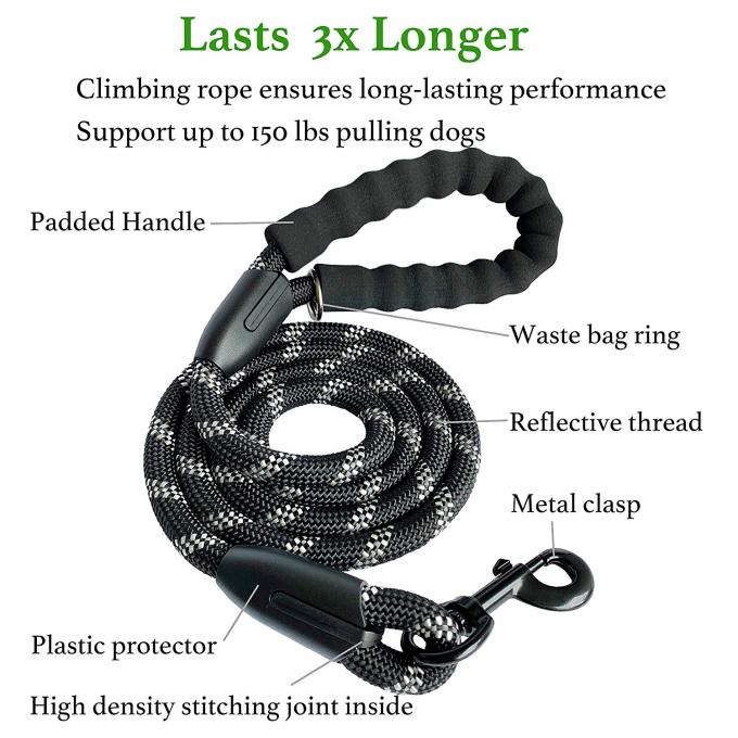 Dual Nylon Dog Leash 360 Swivel No Tangle Comfortable Shock Absorbing