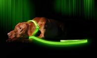 LED Dog Collar USB Rechargeable 2 Colors 3 Sizes