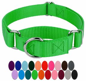 Heavy Duty Soft Nylon Dog Collar , Metal Buckle Dog Collar 21 Colors Option