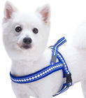Stylish Dog Harness Leash 3M Reflective Neoprene Soft Polyester Webbing