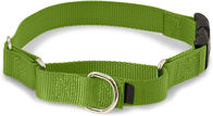 Durable Soft Nylon Buckle Dog Collars , Purple Green Nylon Dog Collar Easy On Off