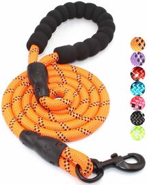 5 FT Nylon Dog Leash With Comfortable Padded Handle