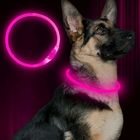USB Rechargeable Pet Industries LED Dog Collar Weatherproof Three Glow Modes