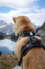 Lightweight Breathable Design Nylon Dog Harness