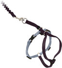 Adjustable Nylon Cat Harness Collar With Bungee Leash