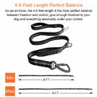 Strong Bungee Shock Absorbing Dog Leash 4 In 1 Multifunction With Car Seat Belt