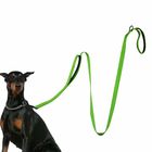 2 Handles Nylon Dog Leash 6 FT Long For Extra Control Reflective Stitch