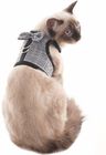 Fashionable Cat Harness Collar Cute Bow Knot Decorate Cat Harness