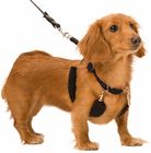 Non Pull No Choke Black Dog Training Halter Harness Easy Step In Vest Collar