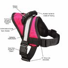 Hassle Free Chest LED Dog Harness Double Security M L XL 7 Colors Optional
