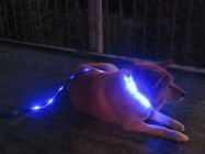 LED Dog Leash USB Rechargeable Flashing Light