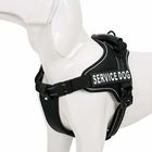 Durable Outdoor Adventure Easy Walk Pet Harness With Removable Chest Padding