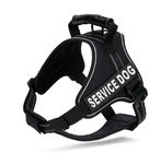 Durable Outdoor Adventure Easy Walk Pet Harness With Removable Chest Padding