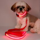 3 Modes Adjustable LED Dog Collar USB Rechargeable , Light Up Christmas Dog Collar