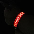 Adjustable LED Dog Collar USB Rechargeable Customized For Dog Cat Night Safety