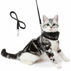 Adjustable Soft Mesh Cat Harness Vest And Leash Set Padded Lining Snug - Fit