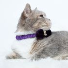 Decorative Safety Cat Harness Collar , Stylish Elegant Adjustable Cat Collar