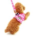 Puppy Cat Small Girl Dog Dots Vest Harness Leash Set Mesh Padded No Pull Lead