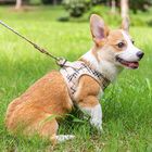 Plaid Cute Adjustable Puppy Harness And Leash Set Small Dog Vest Escape Proof