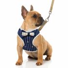 No Pull Small Dog Harness And Leash Set With Breathable Soft Mesh Nylon Vest