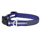 Easy Cleaning Waterproof Reflective Personalized Dog Collars Polyester Webbing