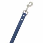 Strong Metal Buckle 4Ft Waterproof Dog Leash Personalized Coated Ultra Soft Rubber