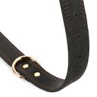Alloy Hardware Genuine Leather Dog Collars Double D Ring For Medium Large Dogs