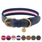 Polyester Webbing Leather Pet Collars Matched Leashes Available