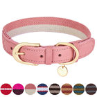 Polyester Webbing Leather Pet Collars Matched Leashes Available