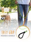 Weather Resistant Reflective Rope Dog Leash Lightweight Climbers Carabiner Clip