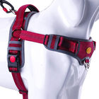 Choke Free Dog Halter Harness Leash Set 5 Ft Double Handle Shock Absorbing Bungee