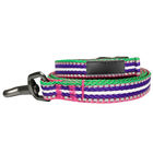 Multi Colored Nylon Dog Training Leash Stripe Collection 3M Reflective Safe Comfy