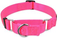 Buckle Type Heavy Duty Nylon Dog Collars Reinforced Stitching Anti Escape