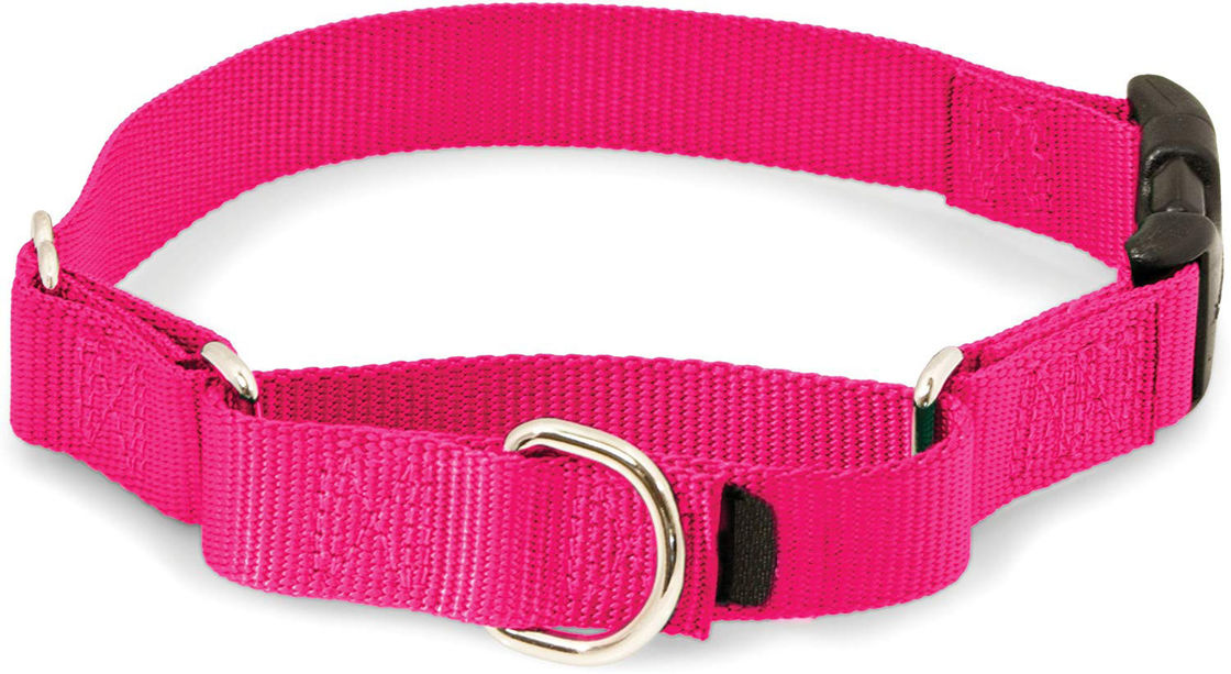 Martingale Soft Nylon Dog Collar With Quick Snap Buckle