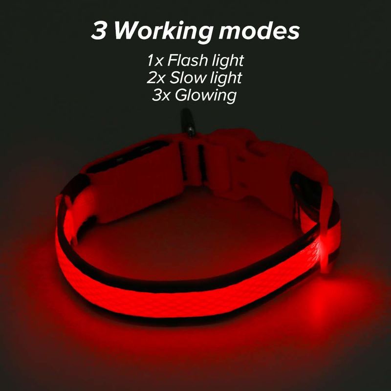Customized Color LED Dog Collar USB Rechargeable , Nylon LED Pet Dog Collar
