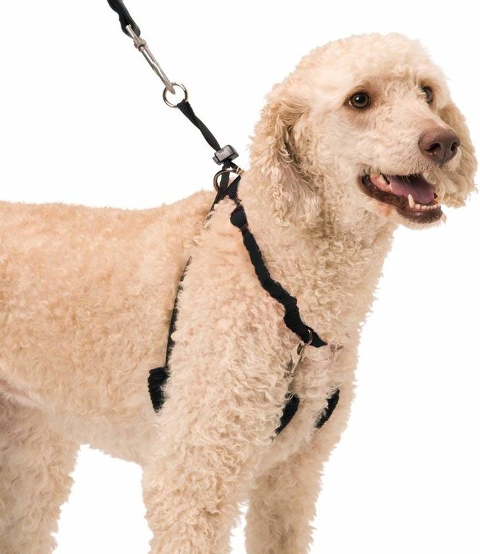 Easy Step In No Choke Dog Training Collars Halter With Detachable Restraints