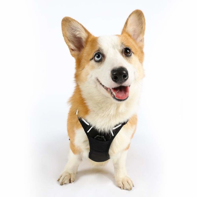 Air Padded Mesh Nylon Dog Harness With Sturdy Top Handle