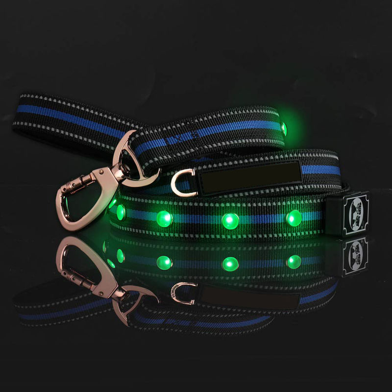 LED Dog Leash, USB Rechargeable Lights 3 Glowing Modes Night Safety, Water Resistance