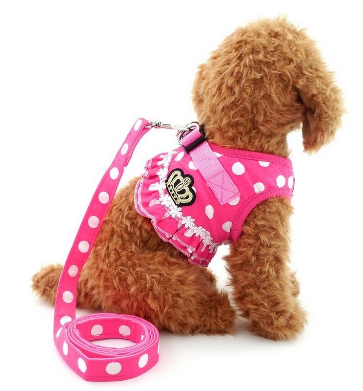 Puppy Cat Small Girl Dog Dots Vest Harness Leash Set Mesh Padded No Pull Lead