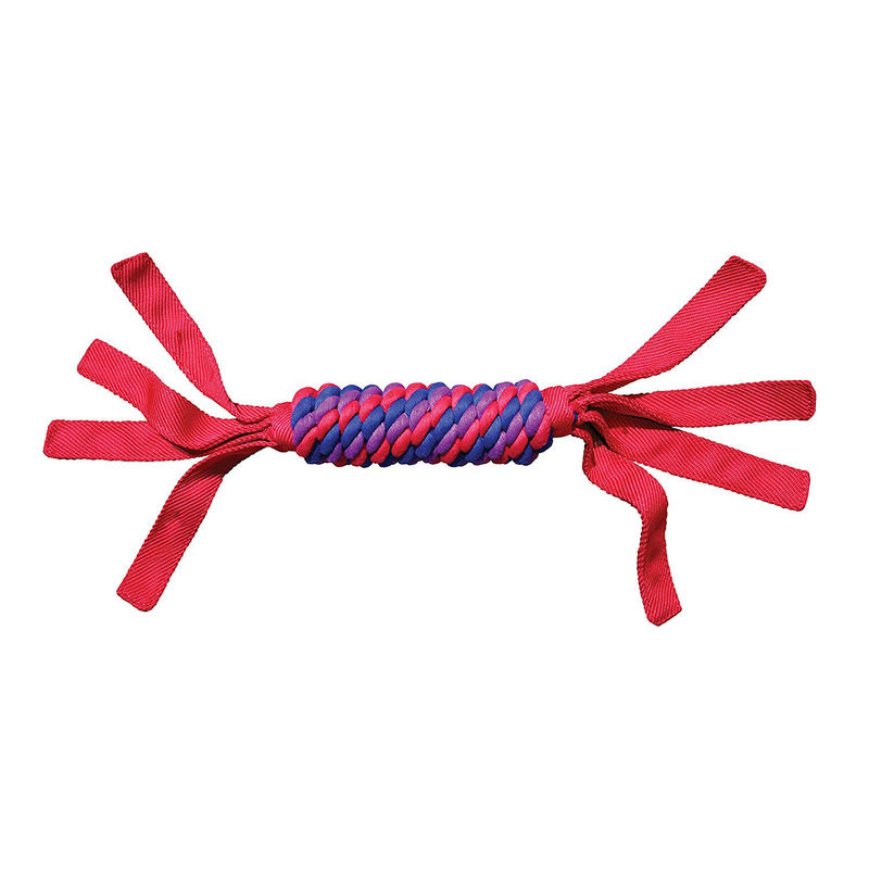 Ballistic nylon dog toys
